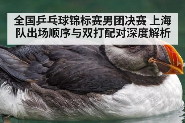 全国乒乓球锦标赛男团决赛 上海队出场顺序与双打配对深度解析